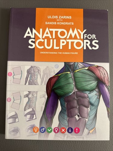 Anatomy for sculptors - sculptors,