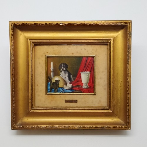 Gatto allo specchio - ,, quadro