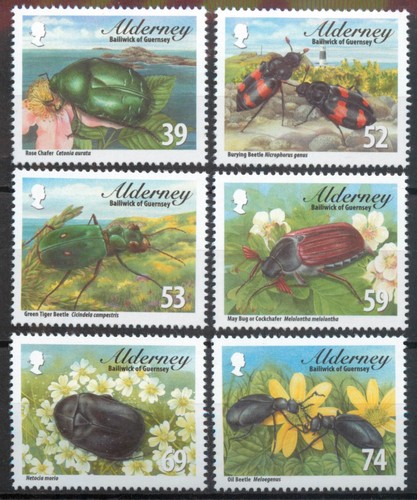 Set insetti coleotteri