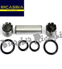 8107 - PERNO ASSE FORCELLA DM