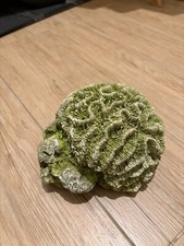 Decorazione paesaggistica dell'acquario