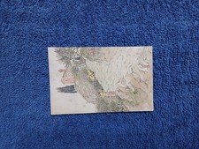 Cartolina Brisighella 1929