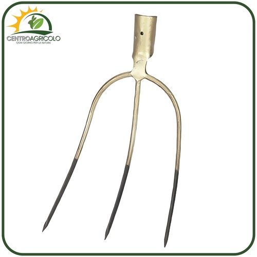 Forca denti abt in - abt,