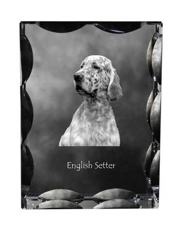 Setter inglese cornice - , di