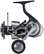 Mulinello da spinning Daiwa 21