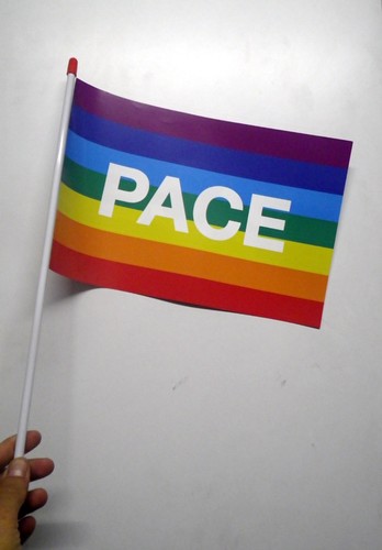 Bandiera pace 20x30 con astina - con,