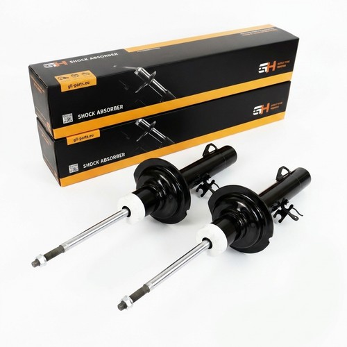 Coppia ammortizzatori gas - a,