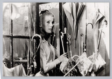 1990 Catherine Deneuve dans