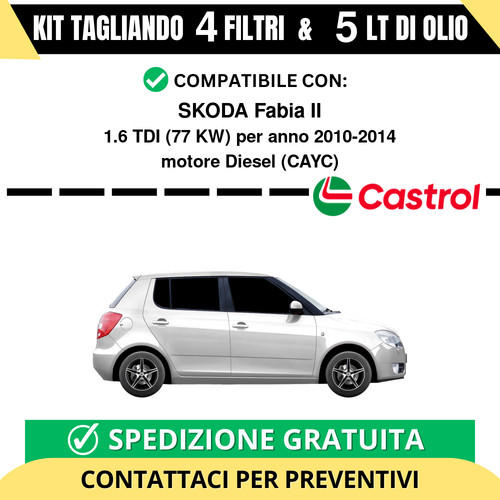 Tagliando per skoda fabia - fabia, ii