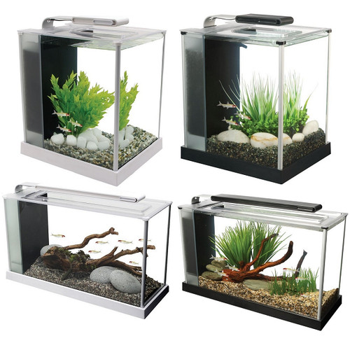 Fluval spec acquario lucido - spec,