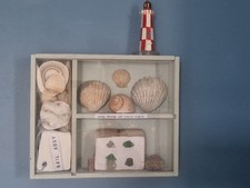 Quadro conchiglia mare cornice