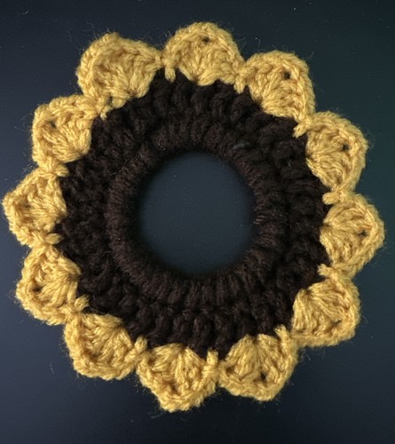 Porta capelli chignon coda - , di