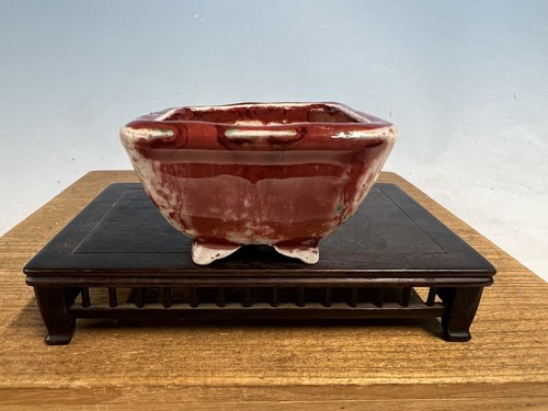 Vaso per bonsai tokoname - per,