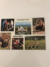 CARTOLINA PINEROLO DANCING PIZZERIA E ANIMALI ESOTICI AL MACUMBA