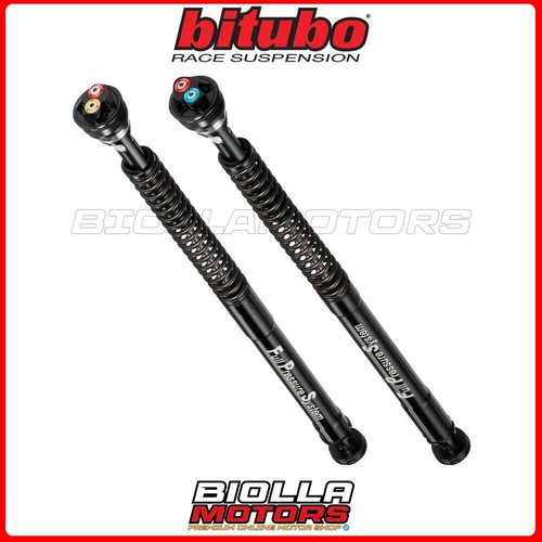 Cartucce forcella bitubo honda - cartucce,