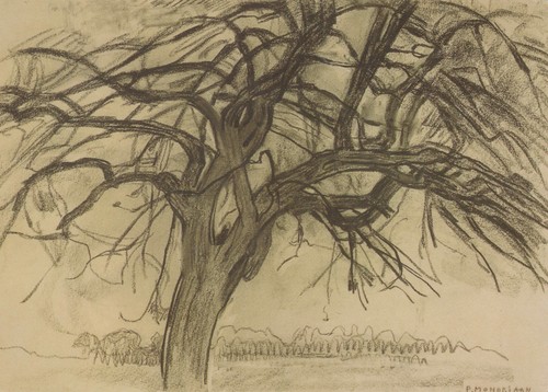 Piet mondrian albero aia - piet, i