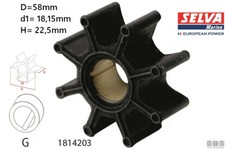 GIRANTE POMPA ACQUA SELVA