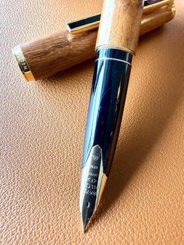 Penna stilografica vintage