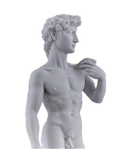 David michelangelo eroe - david,