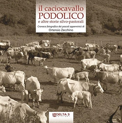 Caciocavallo podolico e - caciocavallo,