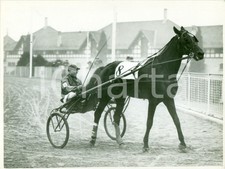 1936 MILANO SAN SIRO Ippica Cavallo PRINCE HALL al peso Premio TRIESTE *Foto