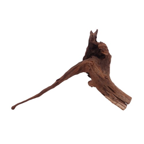 Driftwood flußwurzel radice - driftwood,
