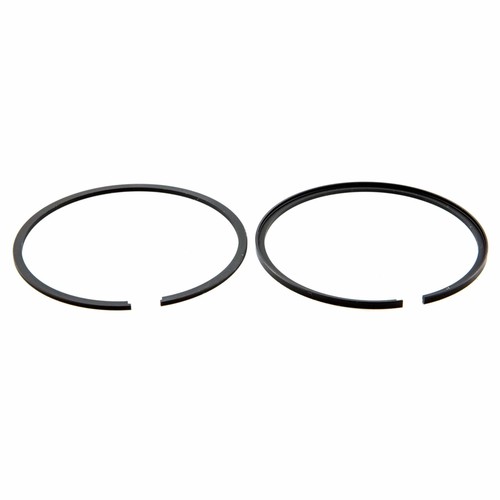 Fasce polini elastiche 208 - elastiche,