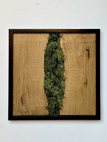 Quadro con muschio - quadro,