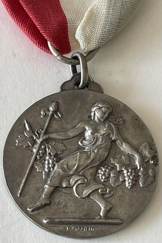 Medaglia premio viticoltura - medaglia,
