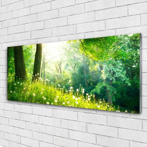 Arte parete 125x50 stampa - parete,