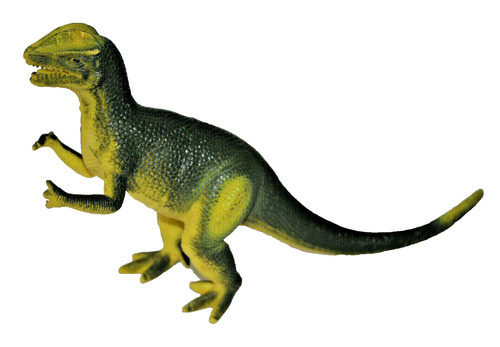Dilophosaurus dinosauro in - dilophosaurus,