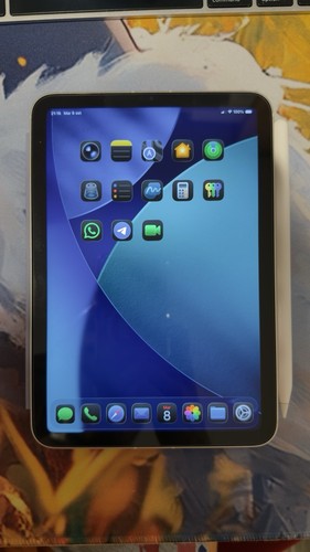 Apple ipad mini - apple,