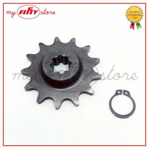 Pignone motore denti franco - motore,