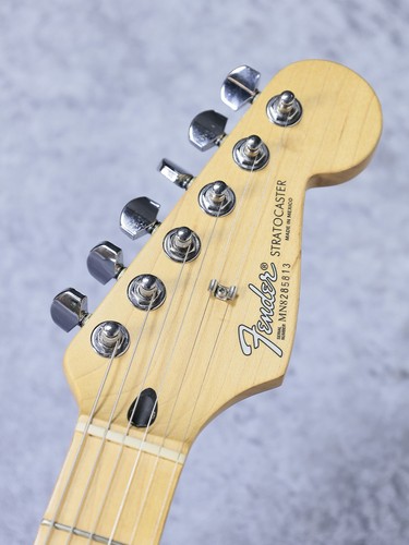 Fender standard stratocaster - standard,