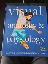 Visual anatomy and physiology - visual,