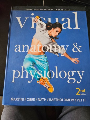 Visual anatomy and - visual,
