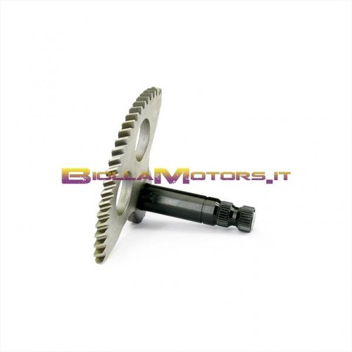 090410 albero messa moto - 090410,