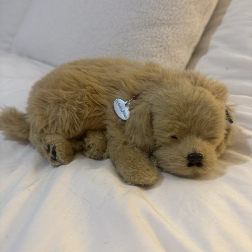 Giocattolo per cuccioli - , petzzz