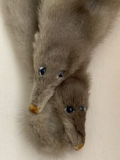 Sciarpa visone grigio in