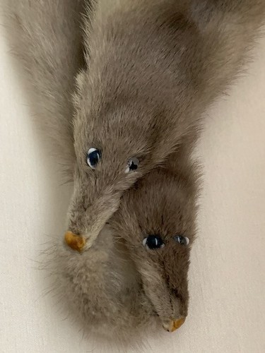 Sciarpa visone grigio - , in