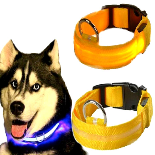 Collare per cani - luminoso, a