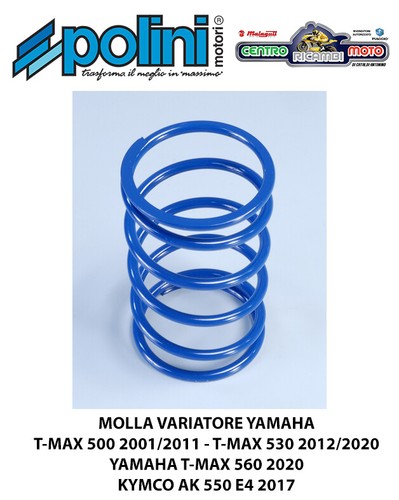 Molla contrasto blu polini - di,