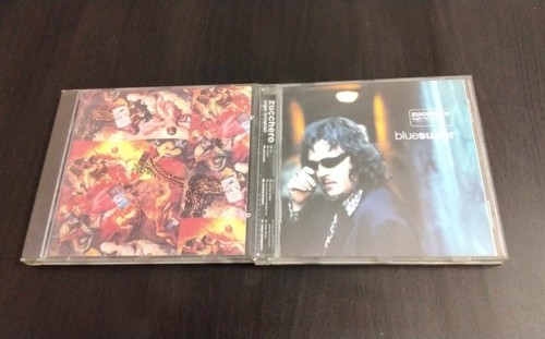 Zucchero sugar fornaciari - zucchero,