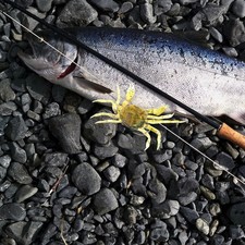  Esche per granchi finti 4