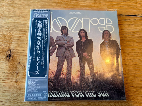 The doors waiting - doors,
