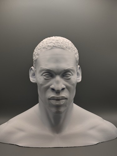 Busto dennis rodman - 3d,