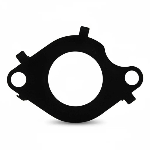 Guarnizione valvola egr - valvola,