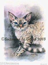 LTD EDITION SI-REX DEVON REX