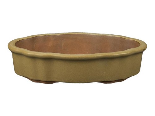 Vaso per bonsai ovale forma - vaso,