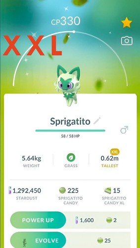 Shiny sprigatito xxl maschio - shiny, |